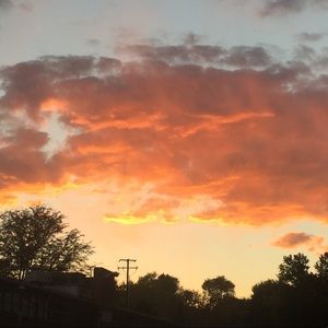 Meet your Posher, Clarissa